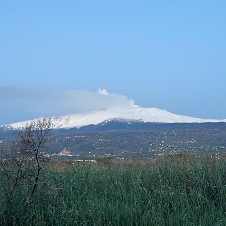 Villa Con Piscina Esclusiva Vista Etna Mascali Eksteriør bilde