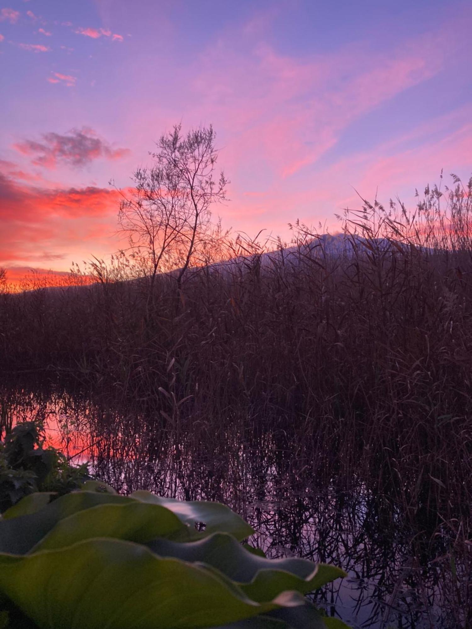Villa Con Piscina Esclusiva Vista Etna Mascali Eksteriør bilde