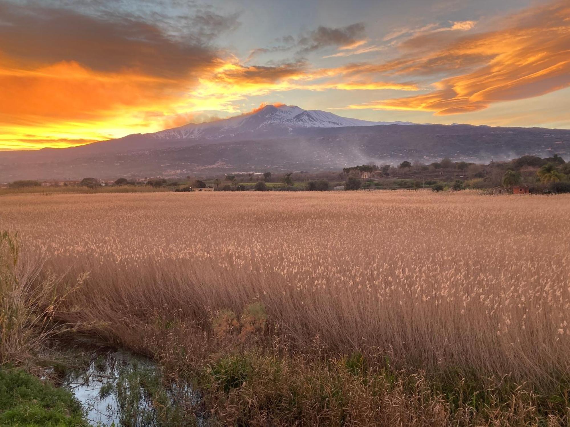 Villa Con Piscina Esclusiva Vista Etna Mascali Eksteriør bilde