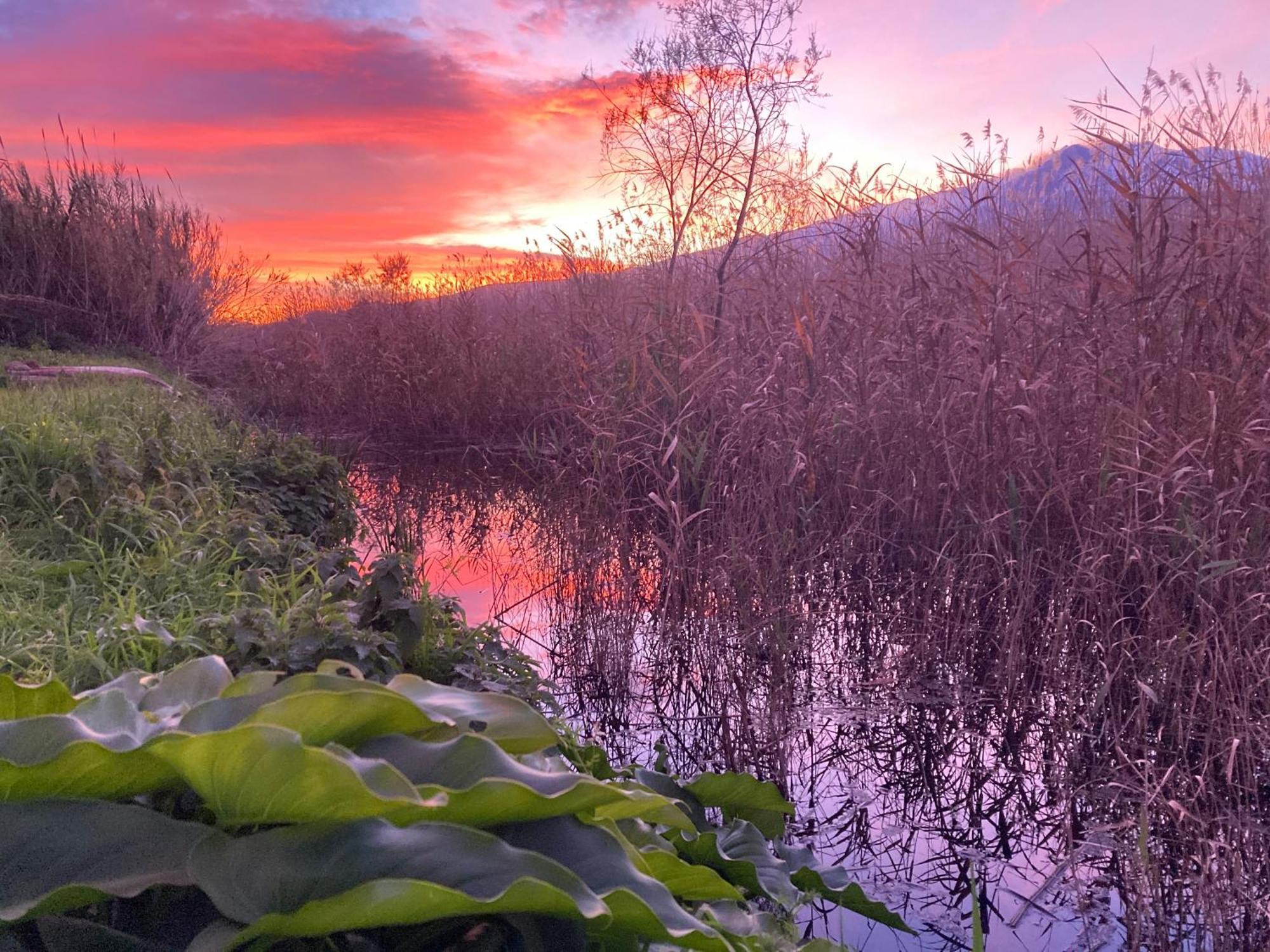 Villa Con Piscina Esclusiva Vista Etna Mascali Eksteriør bilde