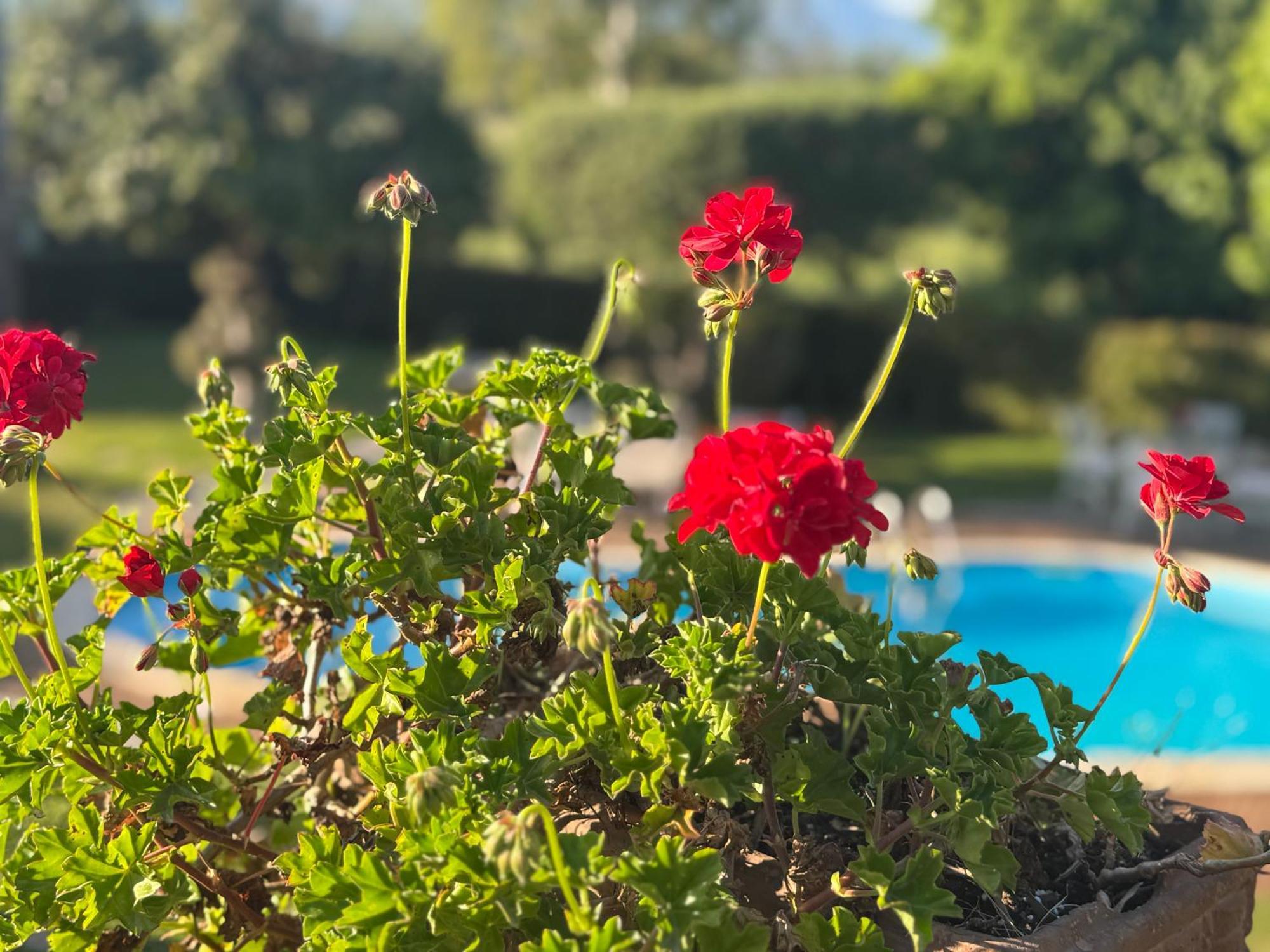 Villa Con Piscina Esclusiva Vista Etna Mascali Eksteriør bilde