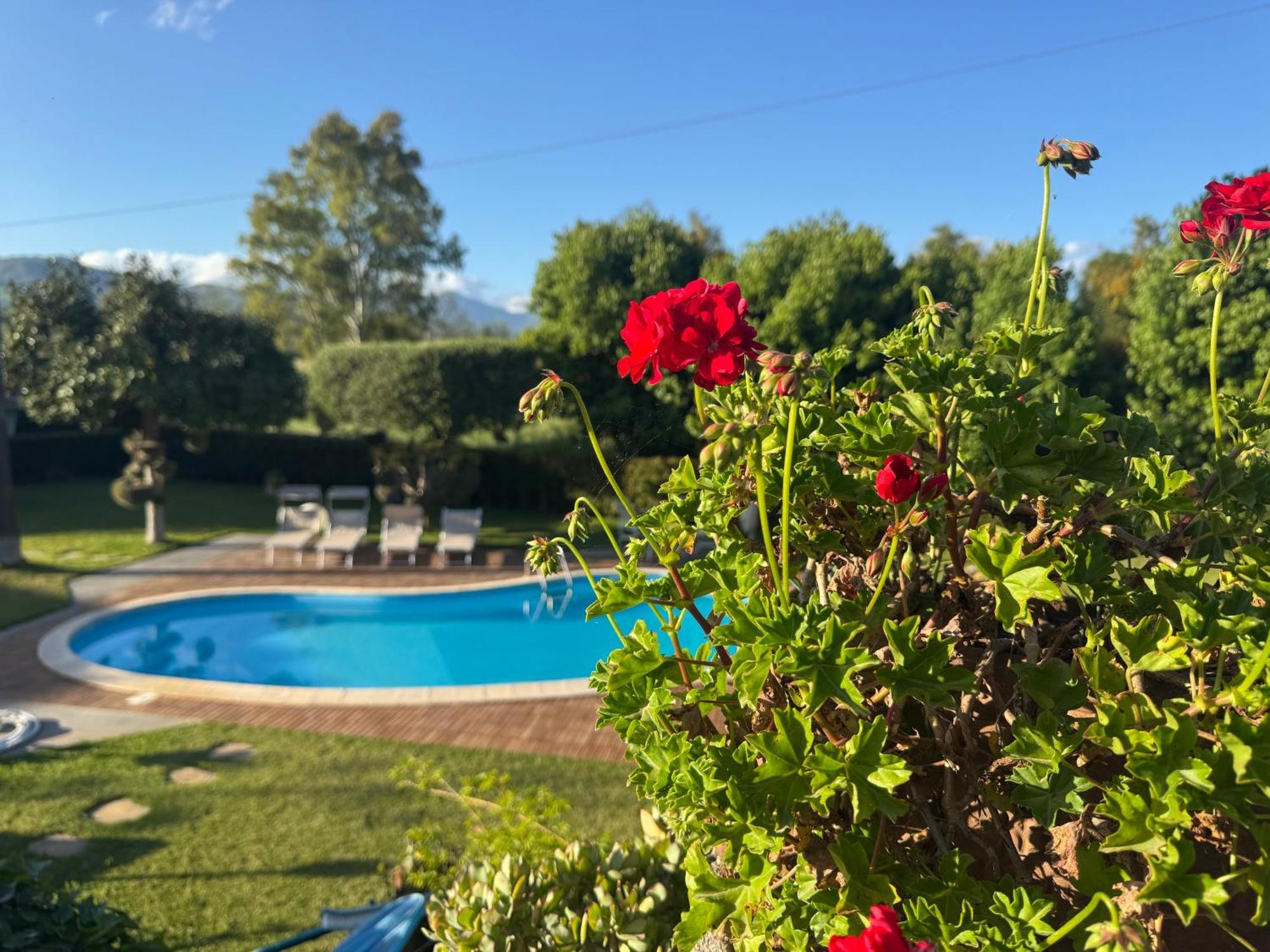 Villa Con Piscina Esclusiva Vista Etna Mascali Eksteriør bilde