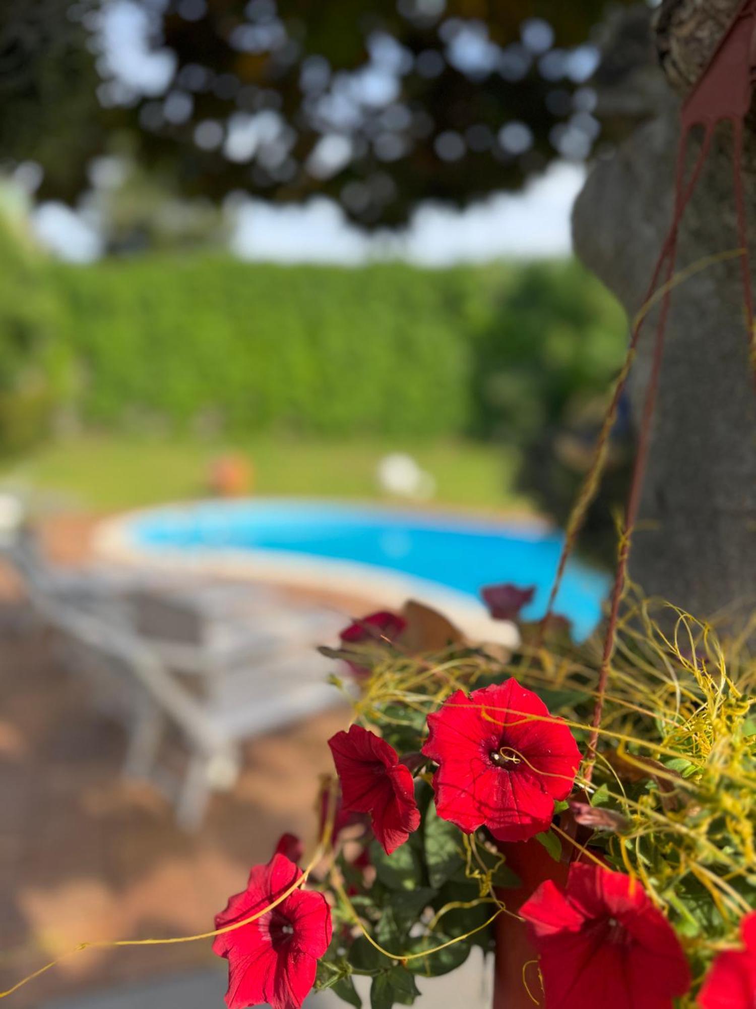Villa Con Piscina Esclusiva Vista Etna Mascali Eksteriør bilde